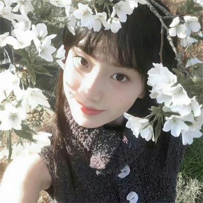 宝莲历险记